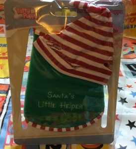 Christmas Santa's Little Helper Teddy Outfit