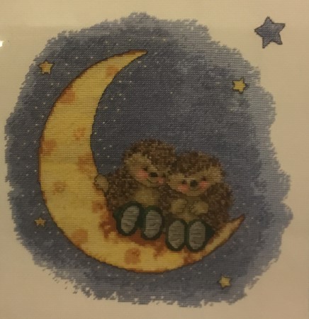 Country Companions On The Moon Cross Stitch Kit Hedgehogs DMC K5011