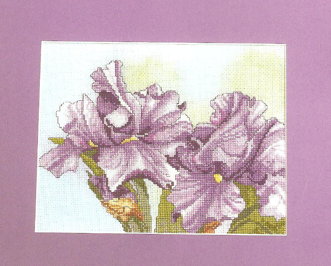 Dye-Namic Florals Cross Stitch Chart - 3 Stunning Designs - Image 2