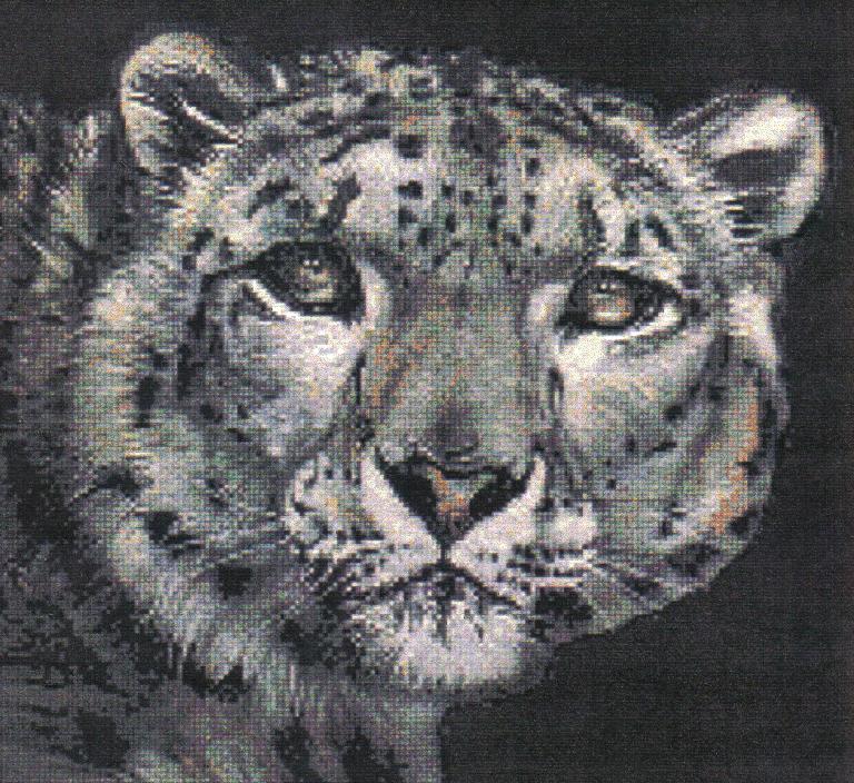 Snow Leopard Cross Stitch Chart
