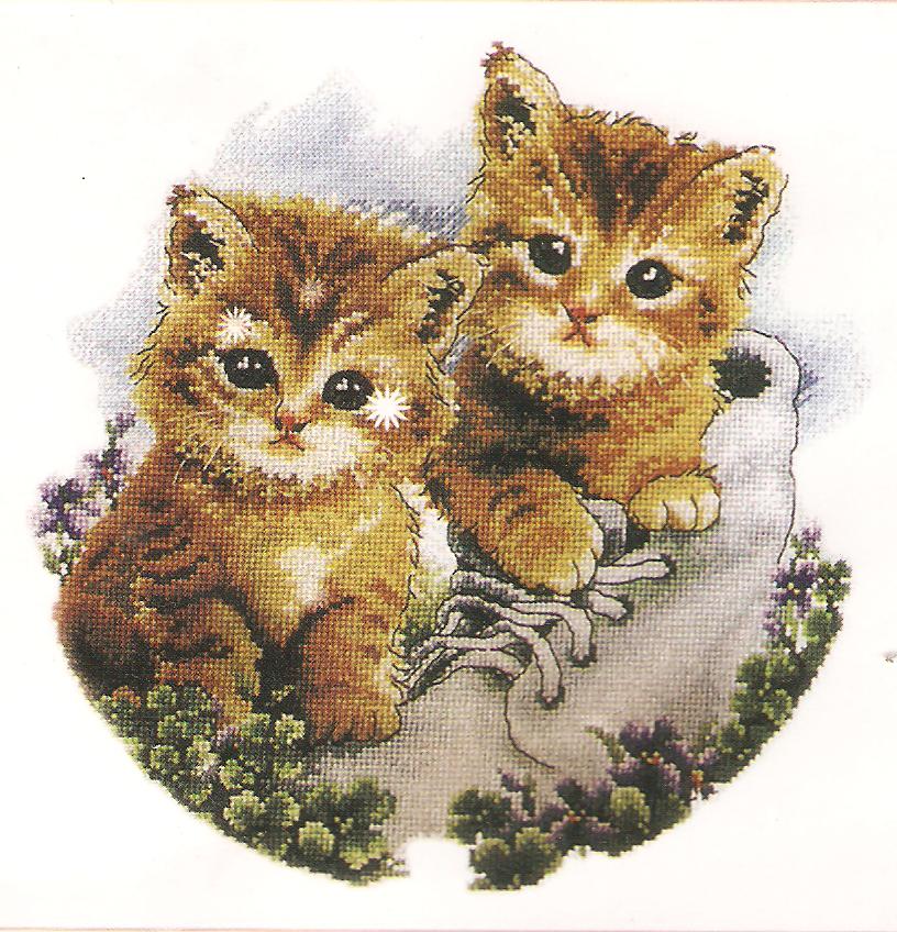 2 Kittens & An Old Boot Counted Cross Stitch Kit