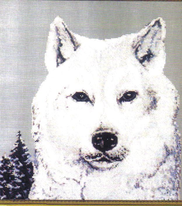 White Wolf Cross Stitch Chart