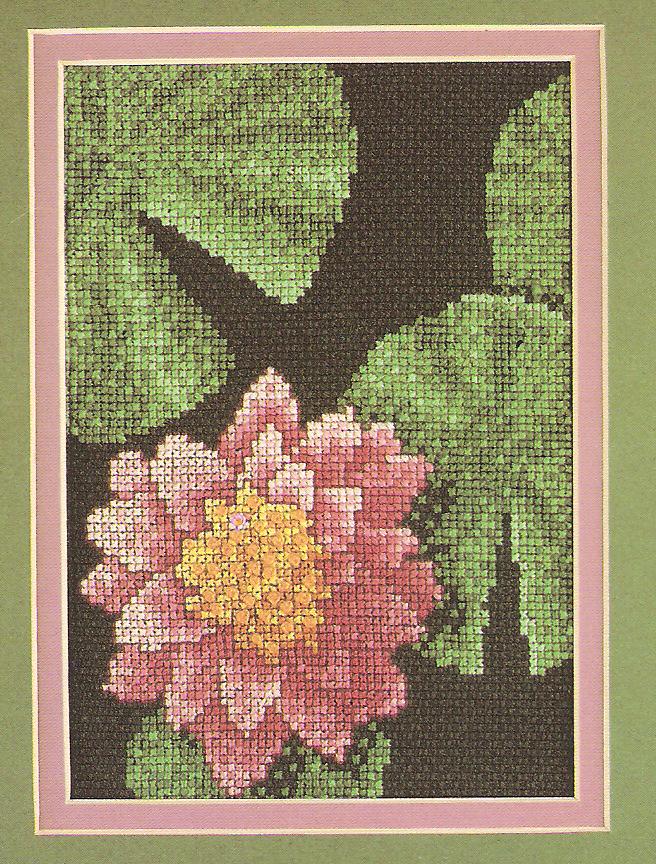 Water Lily Cross Stitch Chart