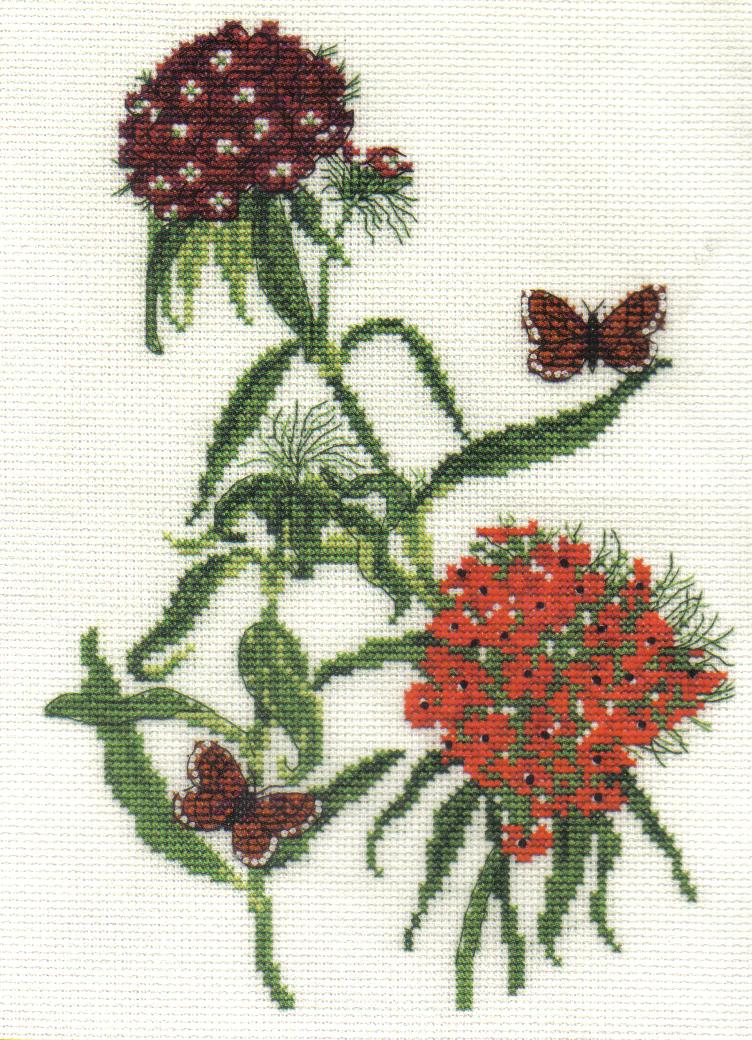 Sweet William Cross Stitch Kit - DMC - Special Edition