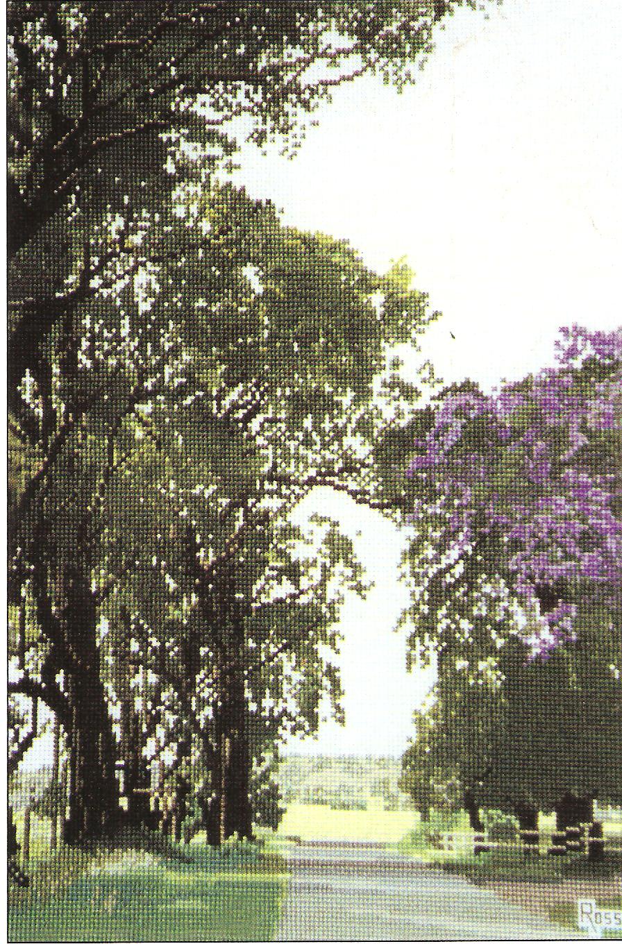 Snowy River Country Cross Stitch Chart - Ross Originals