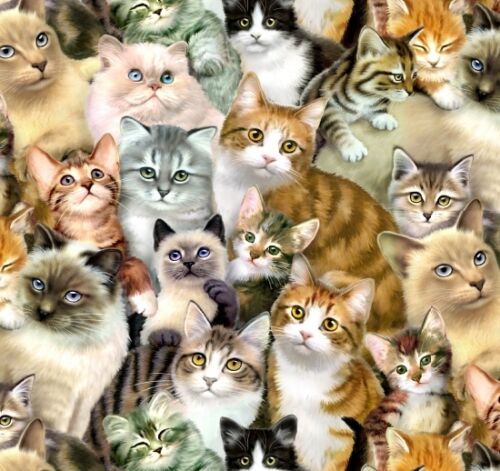 Fat Quarter Petpourri Cats Cotton Sewing Quilting Fabric