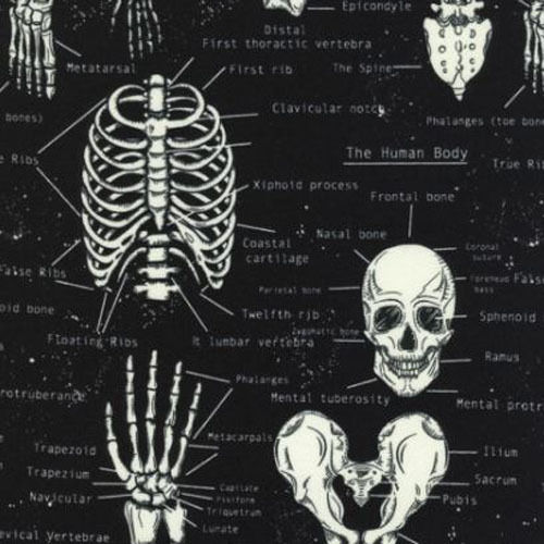 Fat Quarter Skeleton Glow In The Dark Quilting Fabric