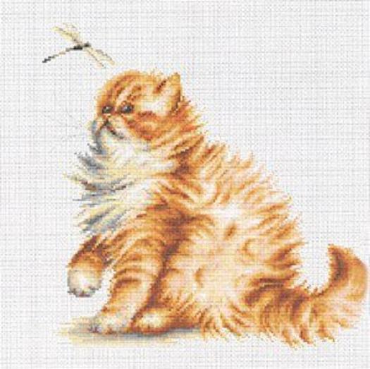 Kitten With Dragonfly (Persian Cat) Cross Stitch Kit - 8.75" x 8