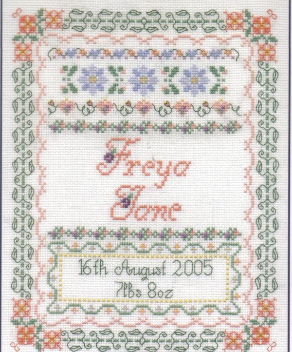 Birth Sampler For A Girl Cross Stitch Kit - DMC