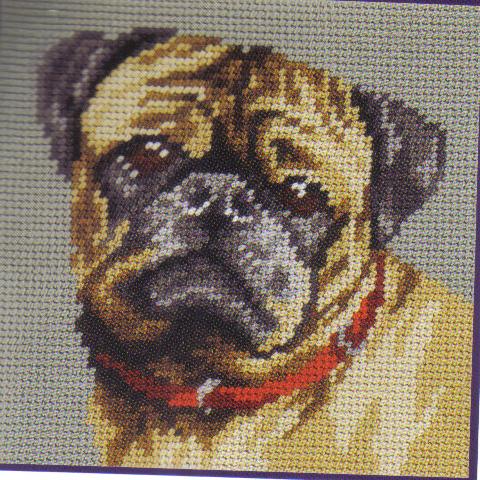 Bull-Dog Tapestry Kit