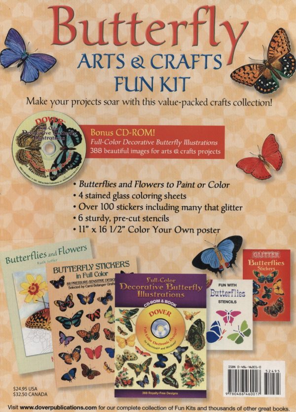 Butterfly Arts and Crafts Fun Kit - Image 2