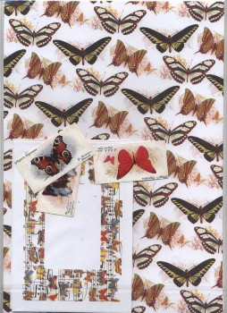 Butterfly Cardmaking & Scrapbooking Craft Pack