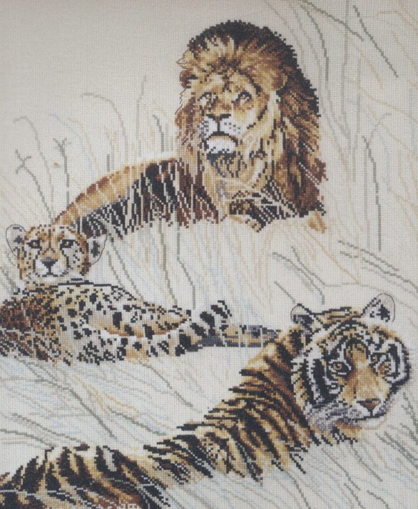 World Big Cats (Lion, Tiger, Cheetah) Cross Stitch Kit - DMC