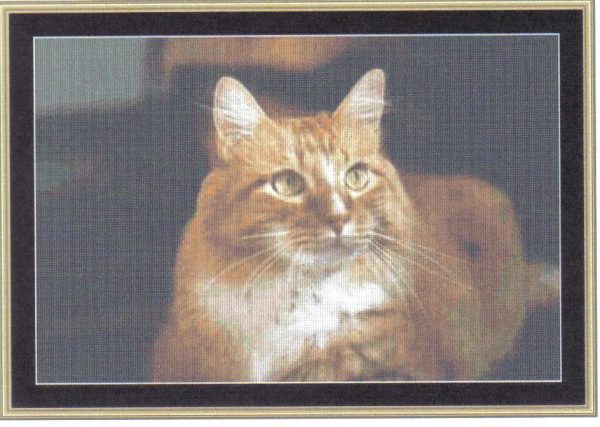 'Distinguished' (Cat) Cross Stitch Chart