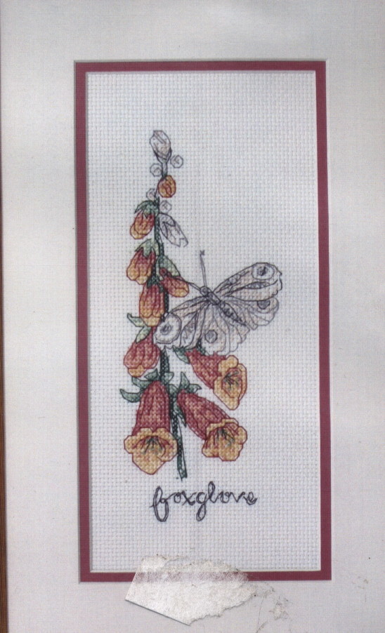 Foxglove And Butterfly Cross Stitch Kit