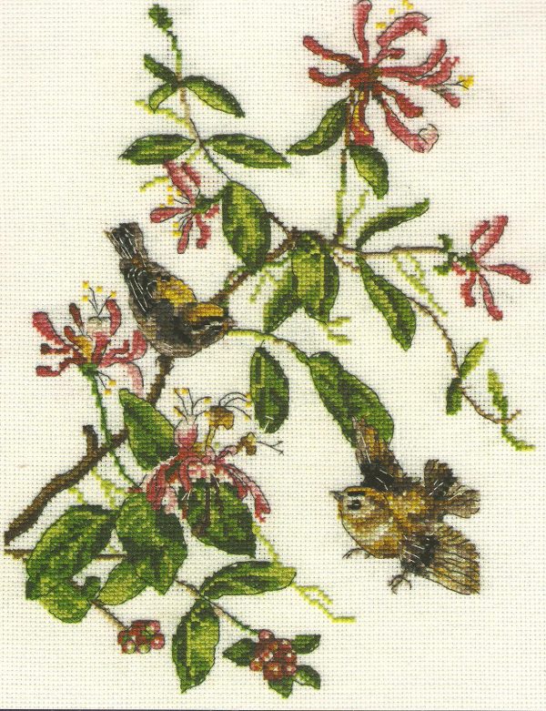 Goldcrests Counted Cross Stitch Kit - DMC