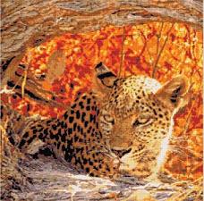 Hiding Leopard Cross Stitch Kit - Kustom Krafts Inc