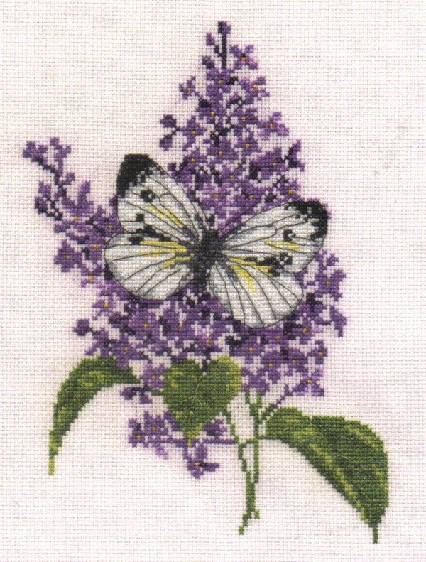 Lilac & Green Veined White Butterfly Cross Stitch Kit-Spec Edn