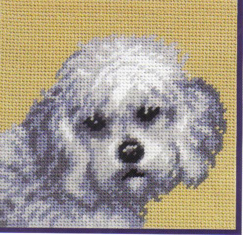 Poodle Tapestry Kit