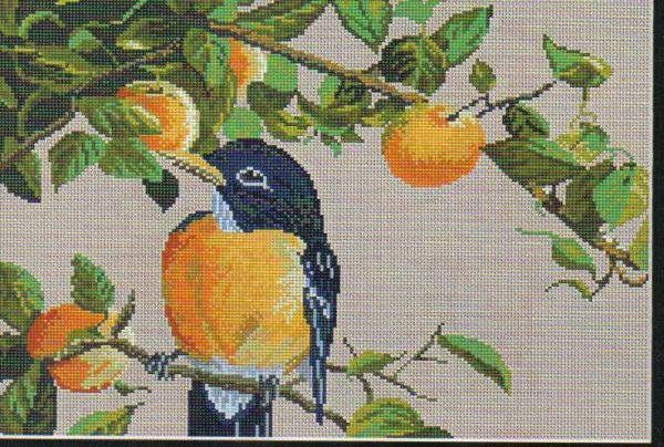 Robin Cross Stitch Chart