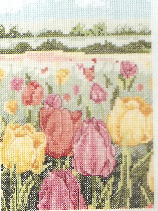 Tulip Garden Cross Stitch Kit - Anchor Starter Range