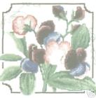Sweet Peas Cross Stitch Kit - Heritage Stitchcraft 14Ct