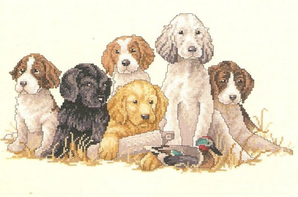 School Daze Cross Stitch Kit-Retriever Puppies