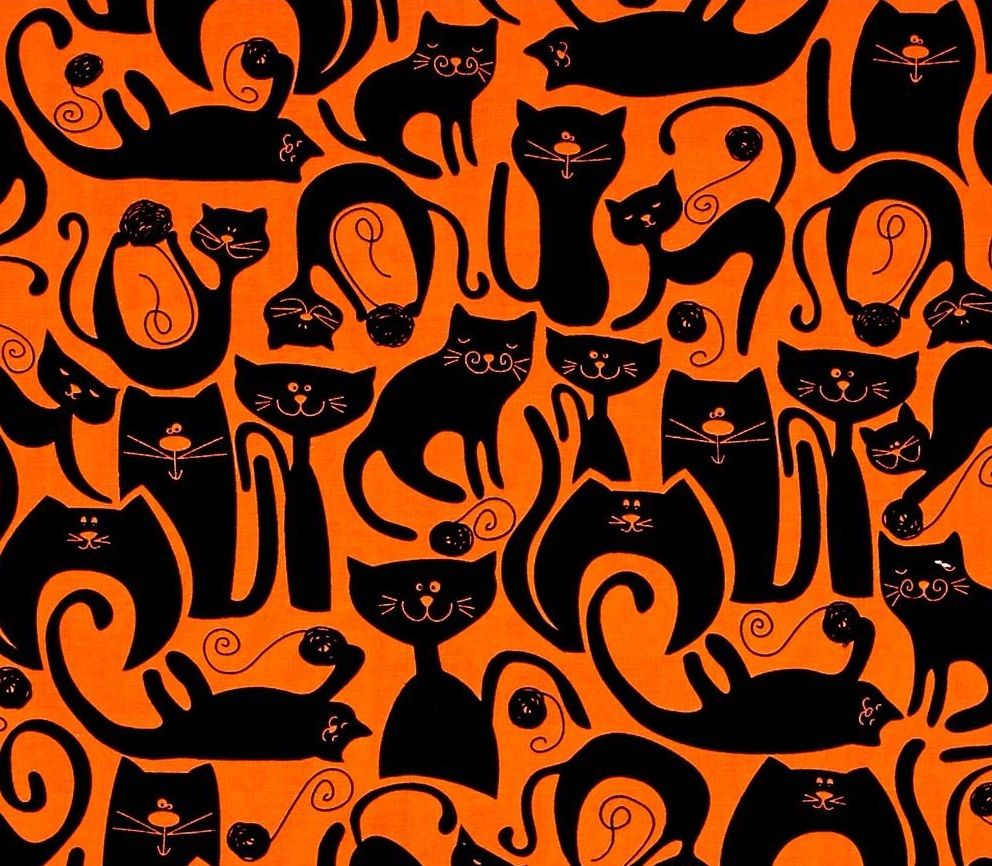 Fat Quarter Tuxedo Cats Orange 100% Cotton Quilting Fabric Benartex