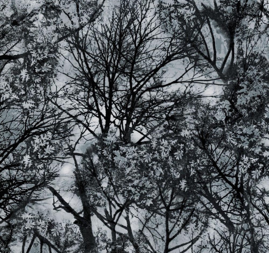 Fat Quarter Wicked Spooky Trees 100% Cotton Quilting Fabric - Timeless Treasures