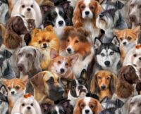Fat Quarter Dog Breeds Dogs Animals 100% Cotton Quilting Fabric
