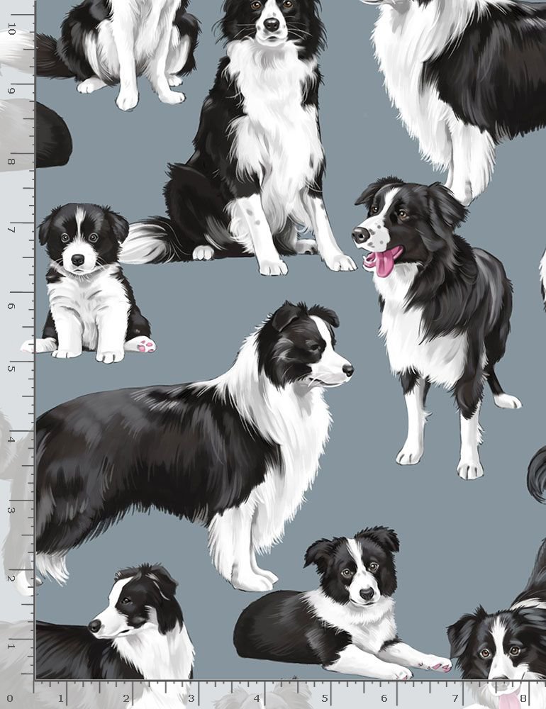 Fat Quarter Border Collie Dogs Puppies 100% Cotton Quilting Sewing Fabric