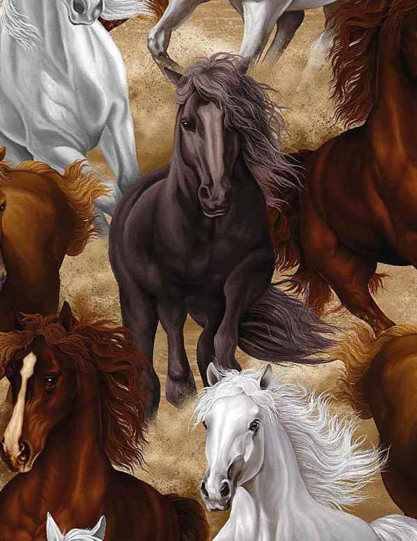 Fat Quarter ''Untamed'' Horses 100% Cotton Quilting Fabric - Pony, Horse,