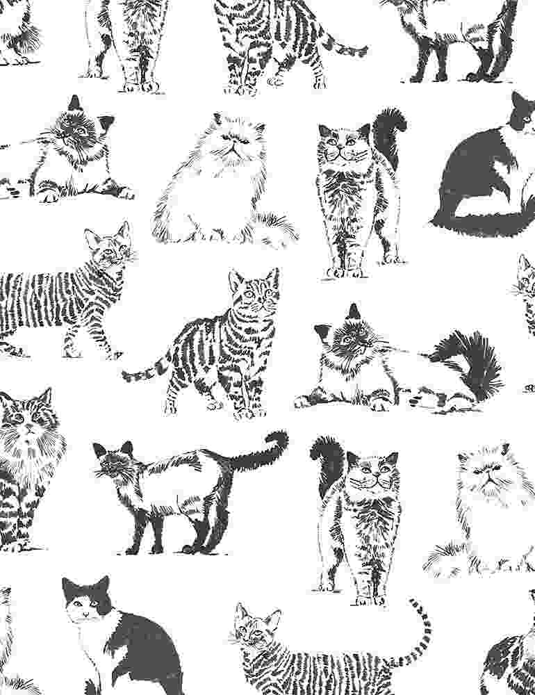 Fat Quarter Sketched Cats 100% Cotton Quilting Fabric - Timeless Treasures