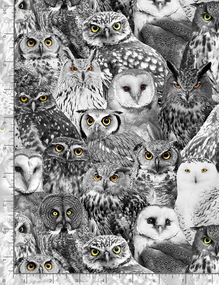 Fat Quarter Packed Owls 100% Cotton Quilting Fabric-Timeless Treasures Blk-Wht - Image 2