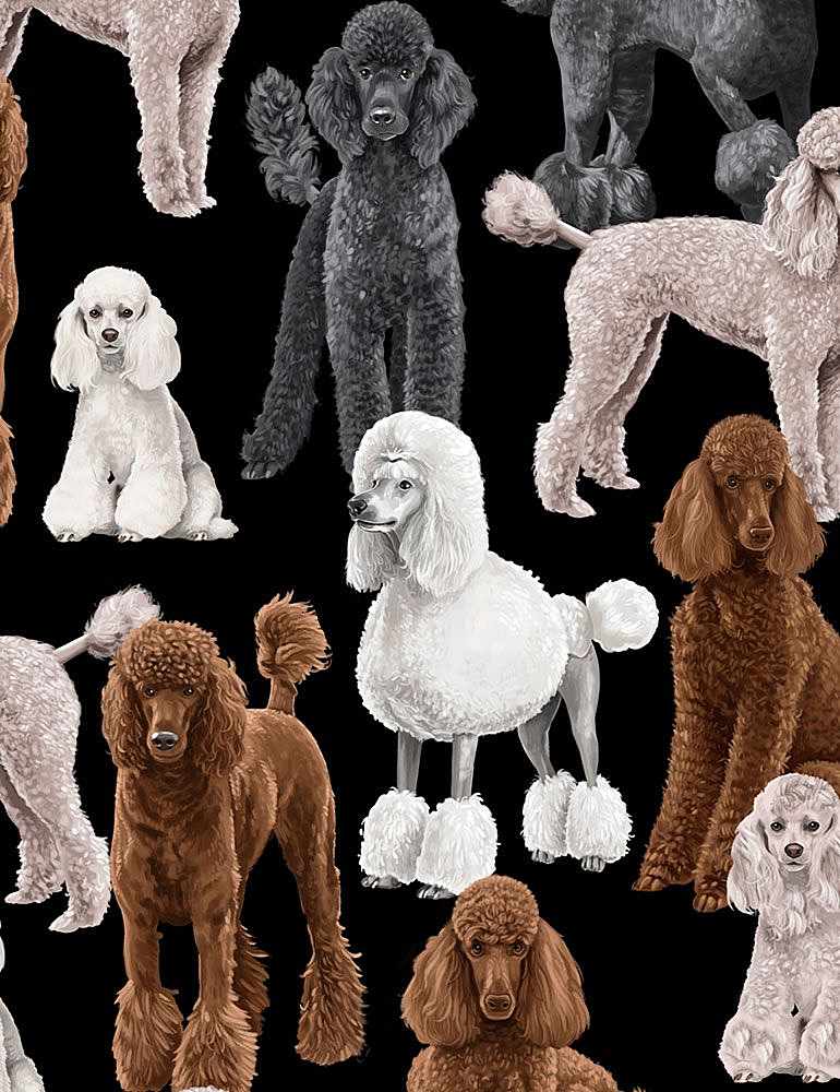 Fat Quarter Poodle Dogs 100% Cotton Quilting Fabric - Timeless Treasures - Image 2