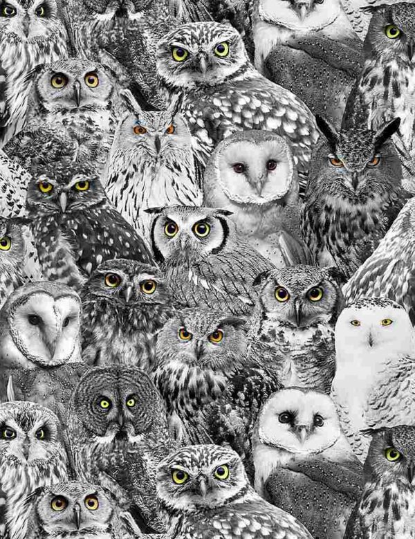 Fat Quarter Packed Owls 100% Cotton Quilting Fabric-Timeless Treasures Blk-Wht