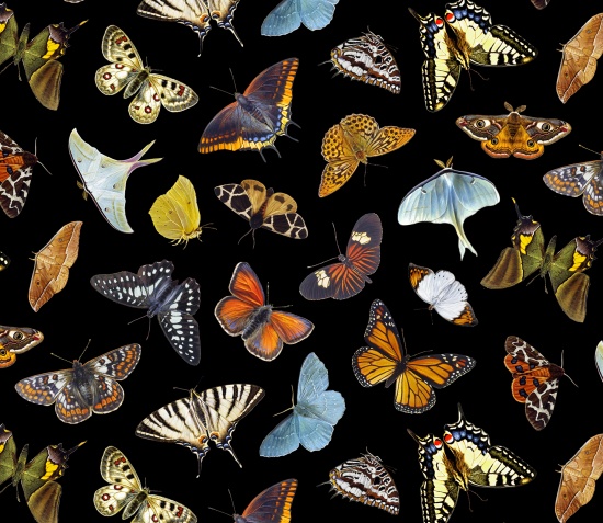 Fat Quarter Butterflies And Moths Black 100% Cotton Quilting Fabric (Copy)
