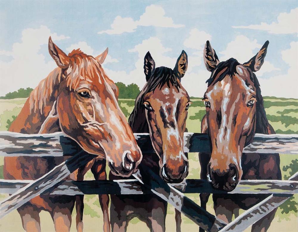 Three Amigos Horses Tapestry Canvas