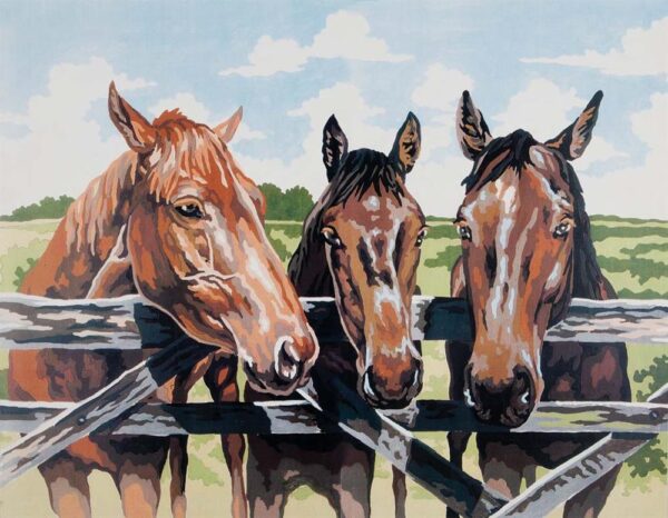 Three Amigos Horses Tapestry Canvas
