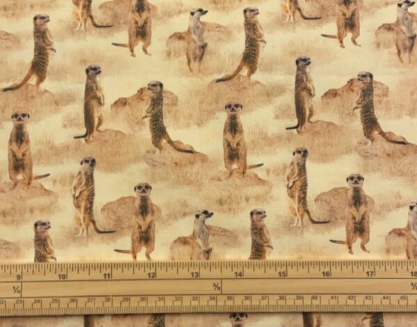 Fat Quarter African Safari Meerkats In The Wild Allover 100% Cotton Quilting Fabric