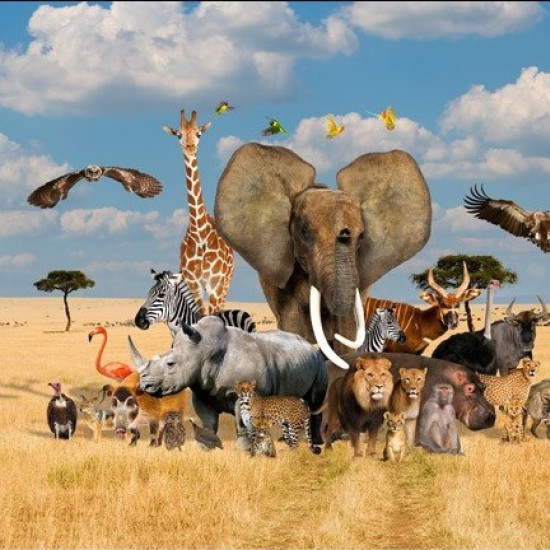 African Safari Animals Unite Day Panel 100% Cotton Print Fabric