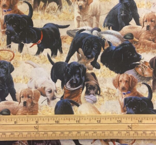 Fat Quarter Labrador Puppies Allover In Fields 100% Cotton Quilting Fabric