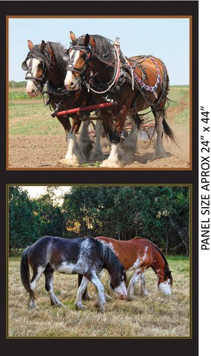 Heavy Horses Set 2 Cushion Panels Panel 100% Cotton Print Fabric