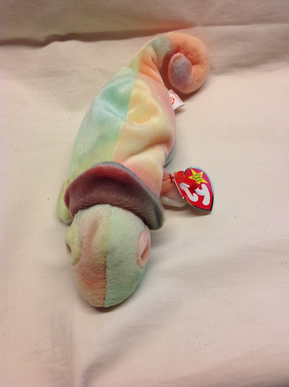 TY Beanie Baby Rainbow - The Chameleon - Image 3