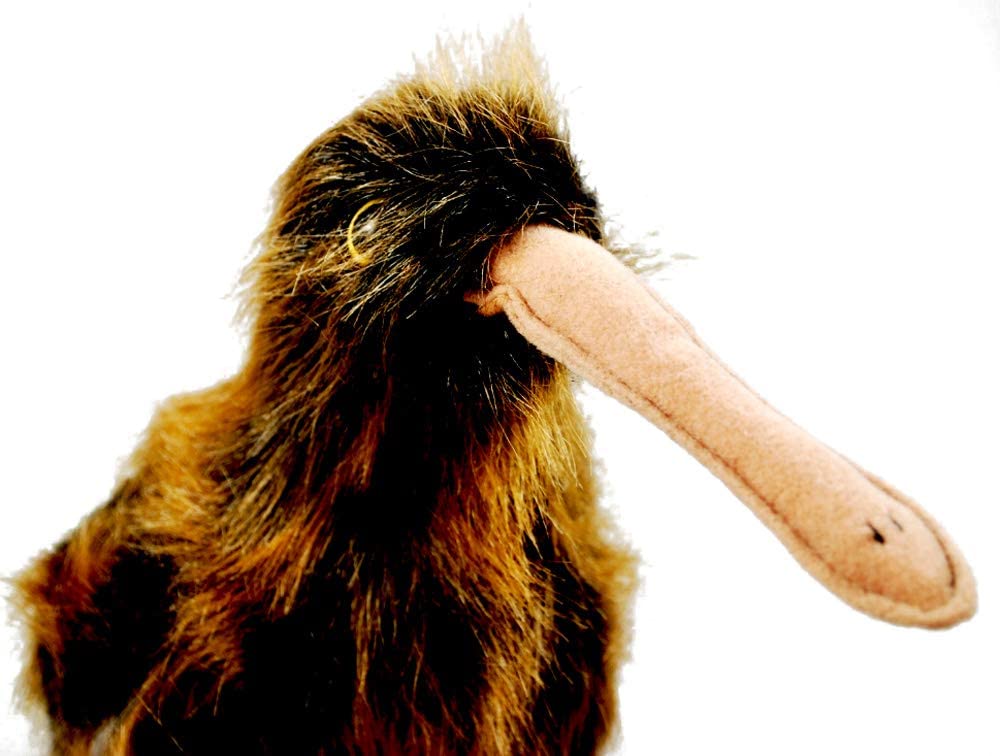 Ty Beanie Buddies Beak - The Kiwi Bird TY Beanie Buddy - Image 4