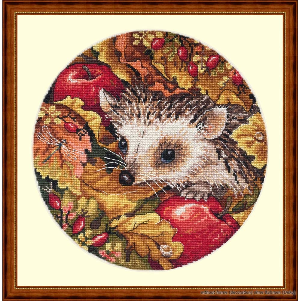 Apples Autumn Hedgehog Counted Cross Stitch Kit - 16 Count