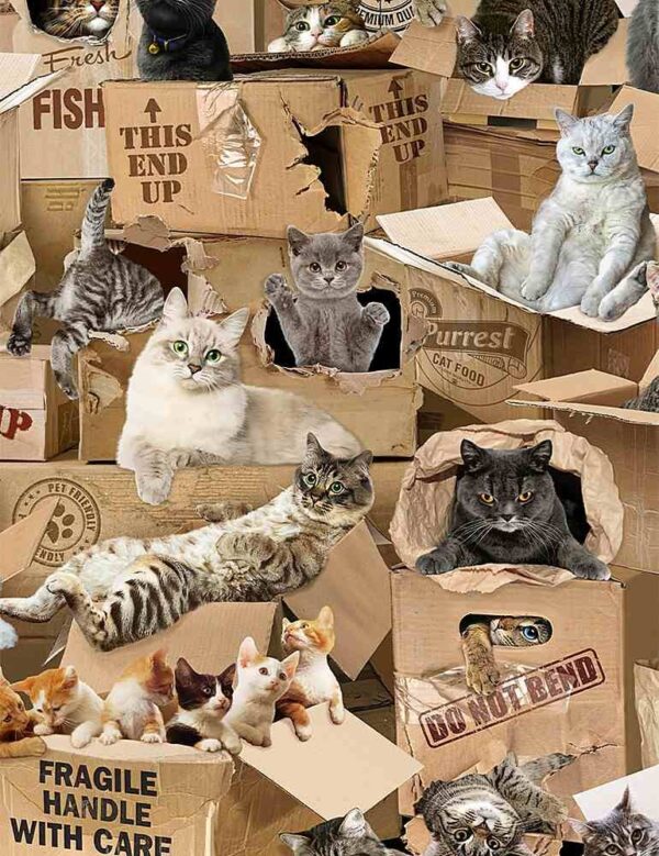 Fat Quarter Realistic Cats & Kitten In Boxes Allover 100% Cotton Quilting Fabric