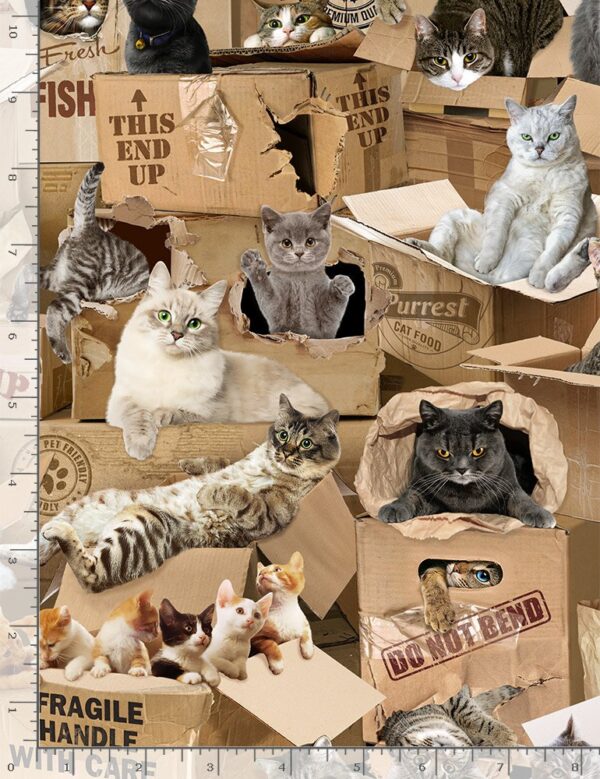 Fat Quarter Realistic Cats & Kitten In Boxes Allover 100% Cotton Quilting Fabric - Image 2