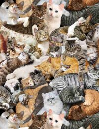 Fat Quarter Realistic Cats & Kitten Snuggle Allover 100% Cotton Quilting Fabric