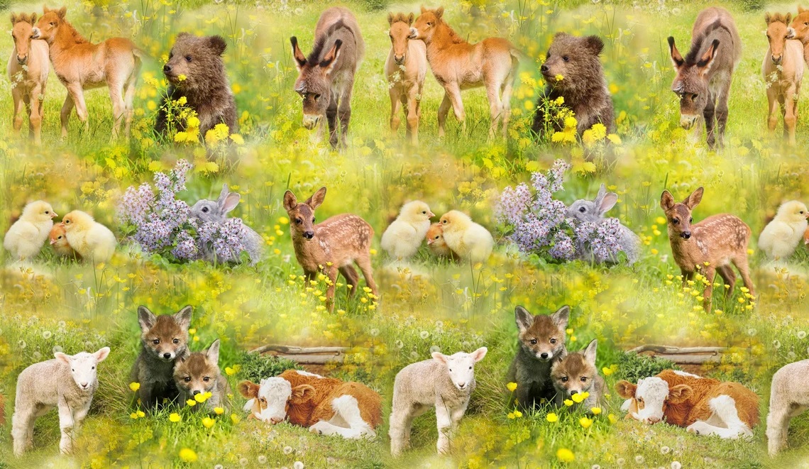 Sun Up to Sun Down Baby Animals Panel 100% Cotton Print Fabric